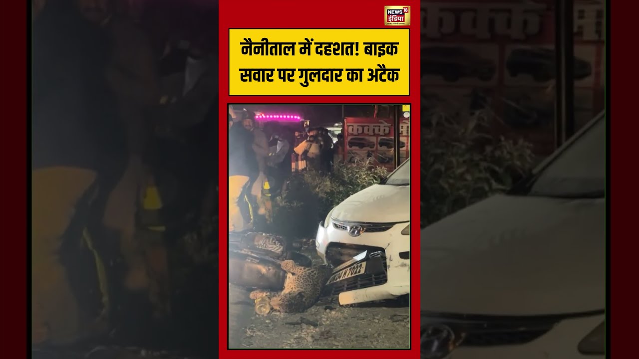 Accident: Nainital में दहशत! बाइक सवार पर गुलदार का अटैक | #viralvideo #viralnews #shorts