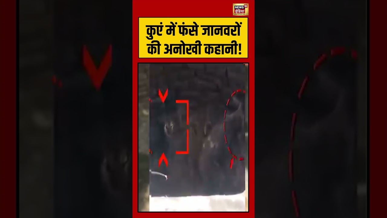 Animal Rescue Viral Video: कुएं में फंसे जानवरों की अनोखी कहानी! | #viralnews #viralvideo #shorts