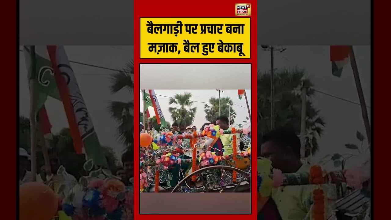 Bengal Election | बैलगाड़ी पर प्रचार बना मज़ाक, बैल हुए बेकाबू #viralvideo #viralnews #shorts #tmc