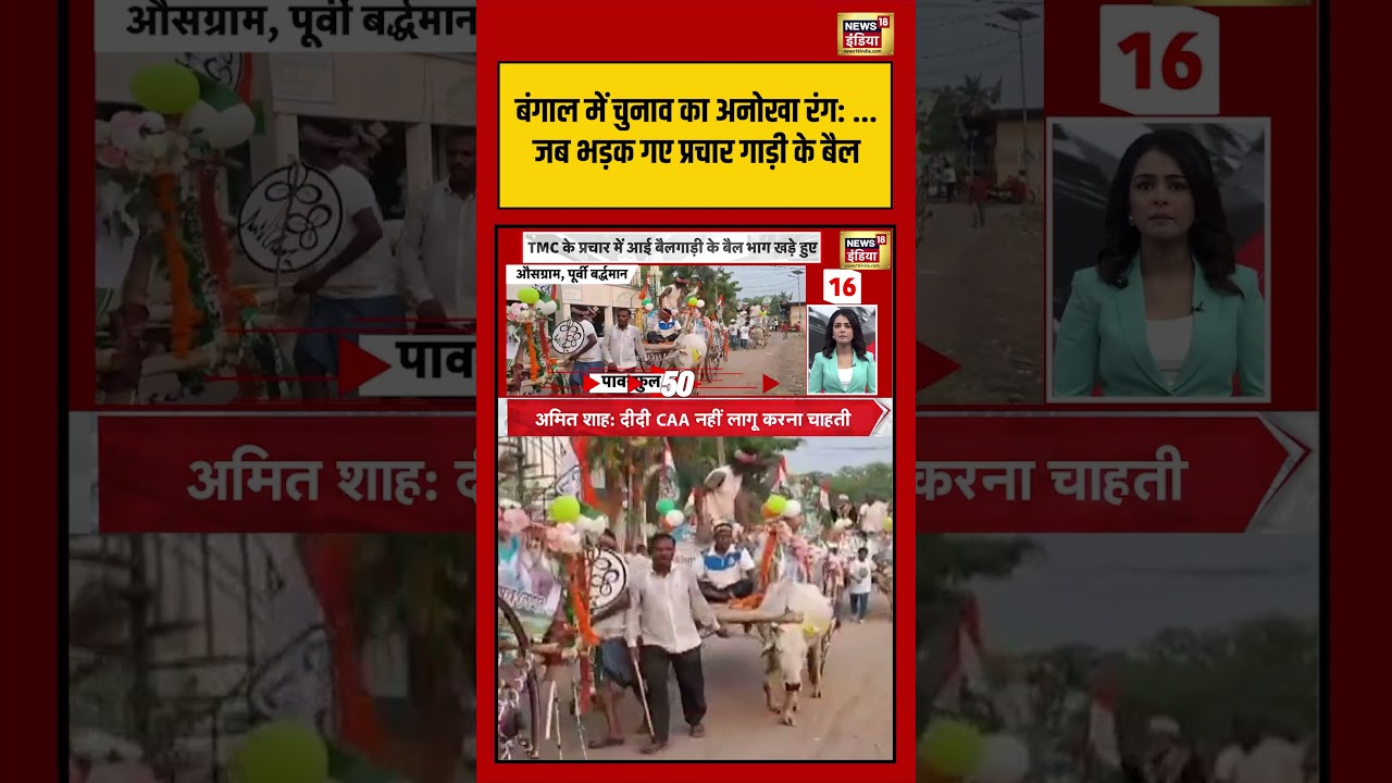 Bengal में चुनाव का अनोखा रंग, जब भड़क गए प्रचार गाड़ी के बैल | #shorts #viralvideo #viralnews