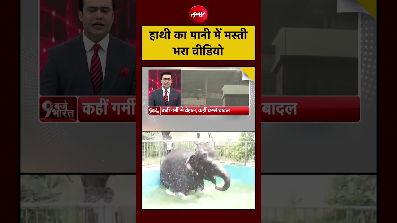 Elephant का पानी में मस्ती भरा वीडियो #elephant #viralvideo #nature #animals