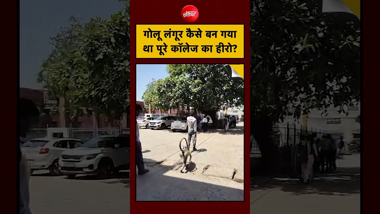 Golu Langur The Bouncer Story! गोलू लंगूर कैसे बना Aligarh का College Hero?