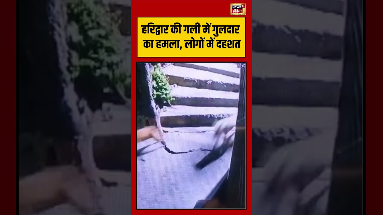 Haridwar की गली में गुलदार का हमला, लोगों में दहशत | #viralnews #viralvideo #shorts