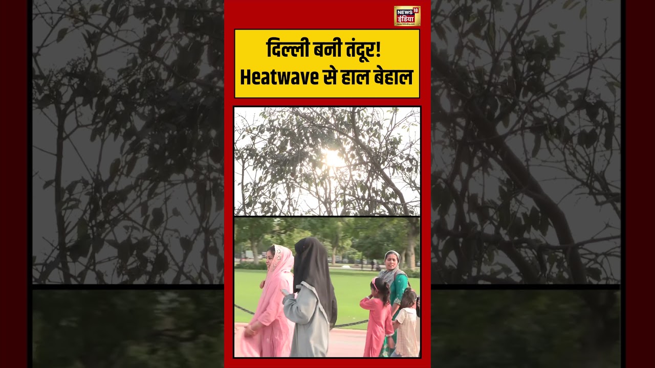 Heatwave Alert | Delhi बनी तंदूर! Heatwave से हाल बेहाल #viralvideo #viralnews #shorts #imd #summer