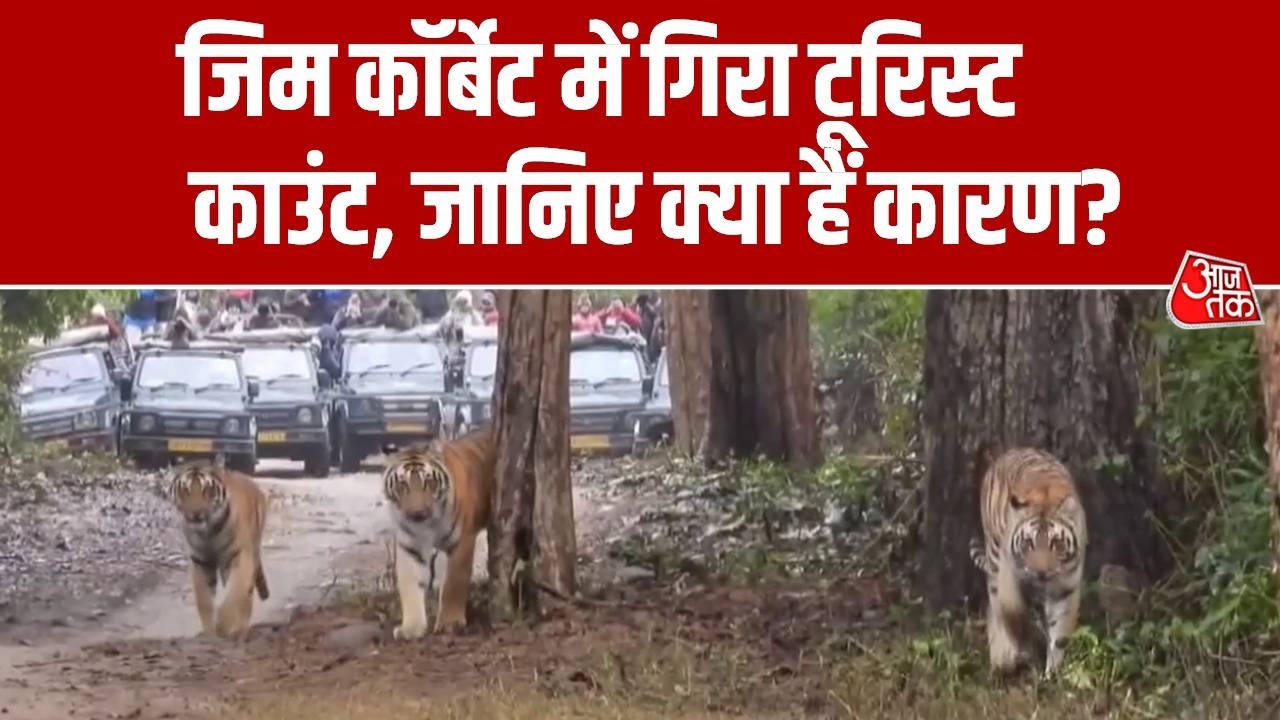 Jim Corbett Park आने वाले पर्यटकों की संख्या में कमी, पश्चिम एशिया तनाव समेत माने जा रहे हैं कई कारण