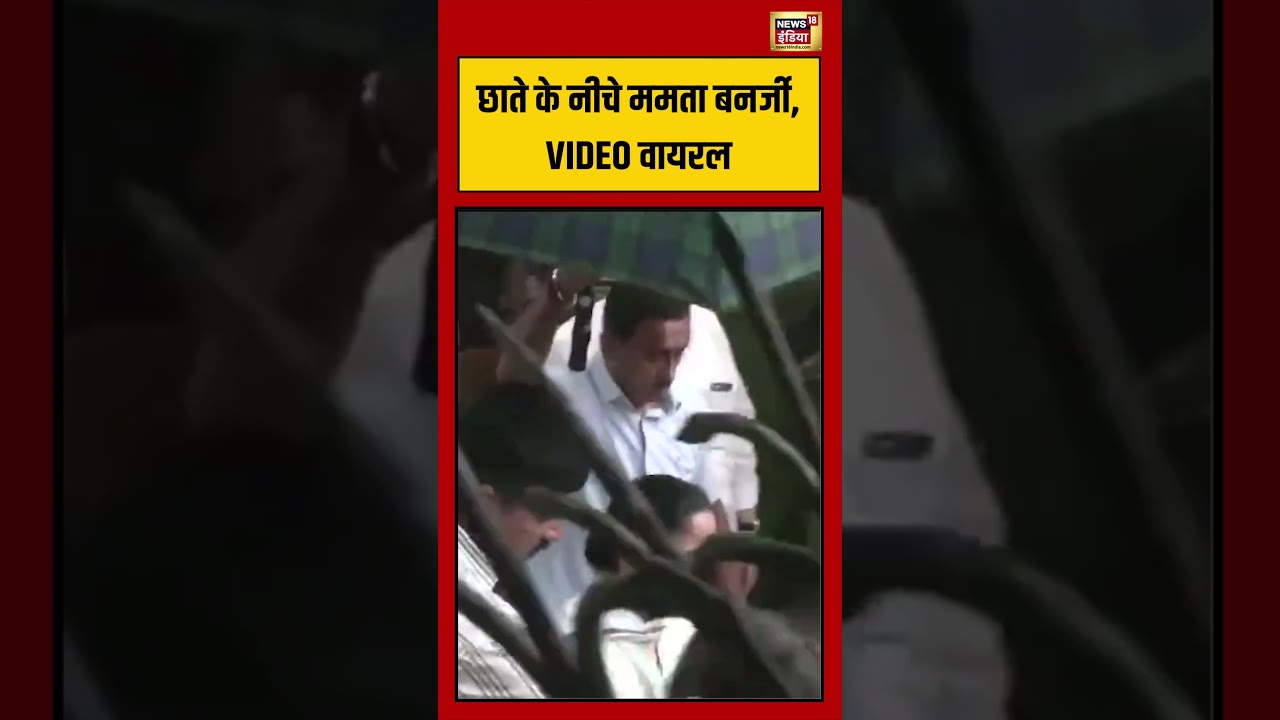 Mamata Banerjee | छाते के नीचे ममता बनर्जी, वायरल #viralnews #viralvideo #shorts #mamatabanerjee