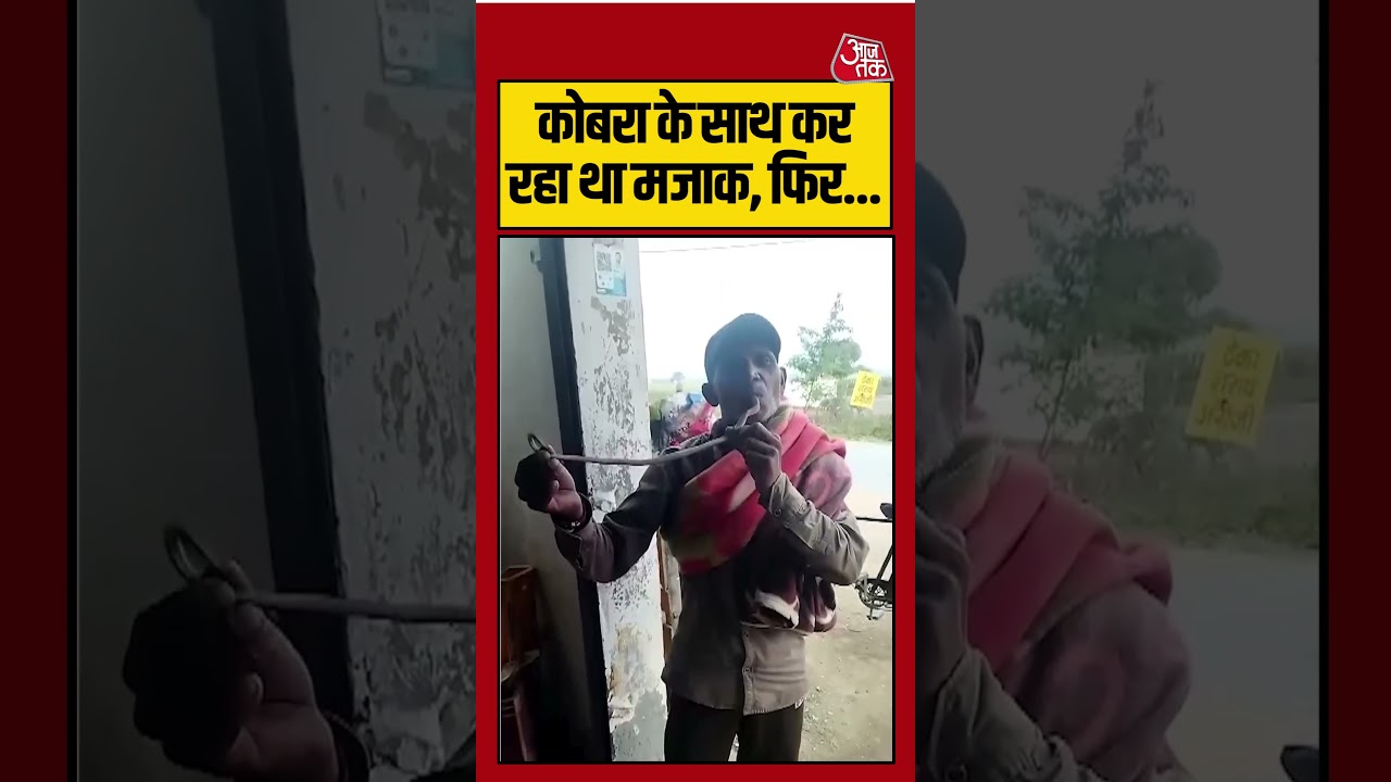 Shorts | कोबरा के साथ कर रहा था मजाक, फिर…| #snake #viralvideo
