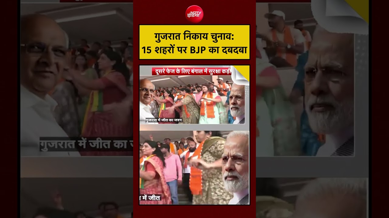 Syed Suhail: Gujarat Nikay Chunav: 15 शहरों पर BJP का दबदबा | PM Modi | #shorts #viralnews