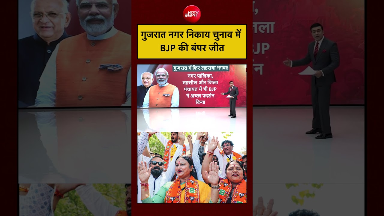 Syed Suhail: Gujarat Nikay Chunav: गुजरात नगर निकाय चुनाव में BJP की बंपर जीत| #shortvideo