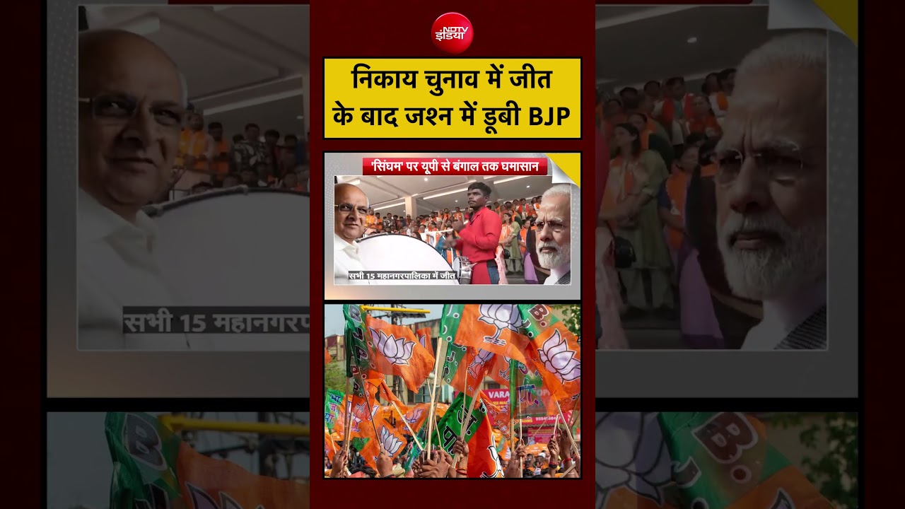 Syed Suhail: Gujarat Nikay Chunav | निकाय चुनाव में जीत  के बाद जश्न में डूबी BJP | #shortvideo