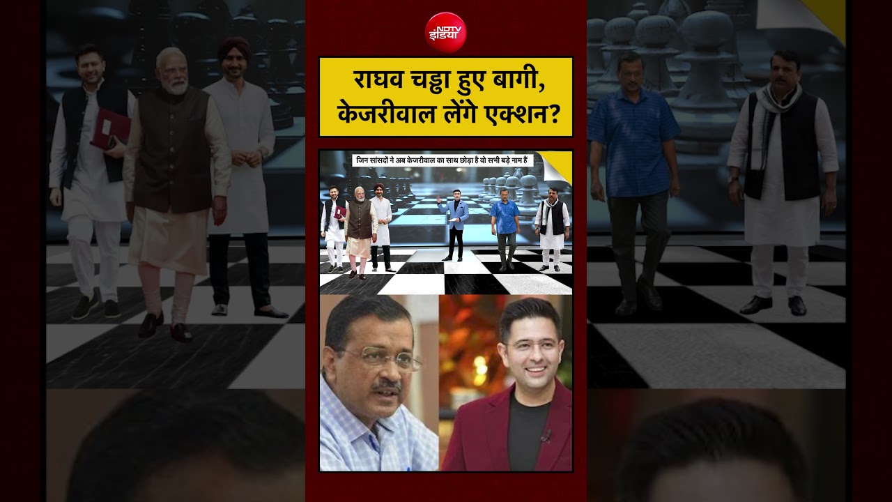 Syed Suhail | Raghav Chadha News: राघव चड्ढा हुए बागी, Kejriwal लेंगे एक्शन? | #shorts #ytshorts