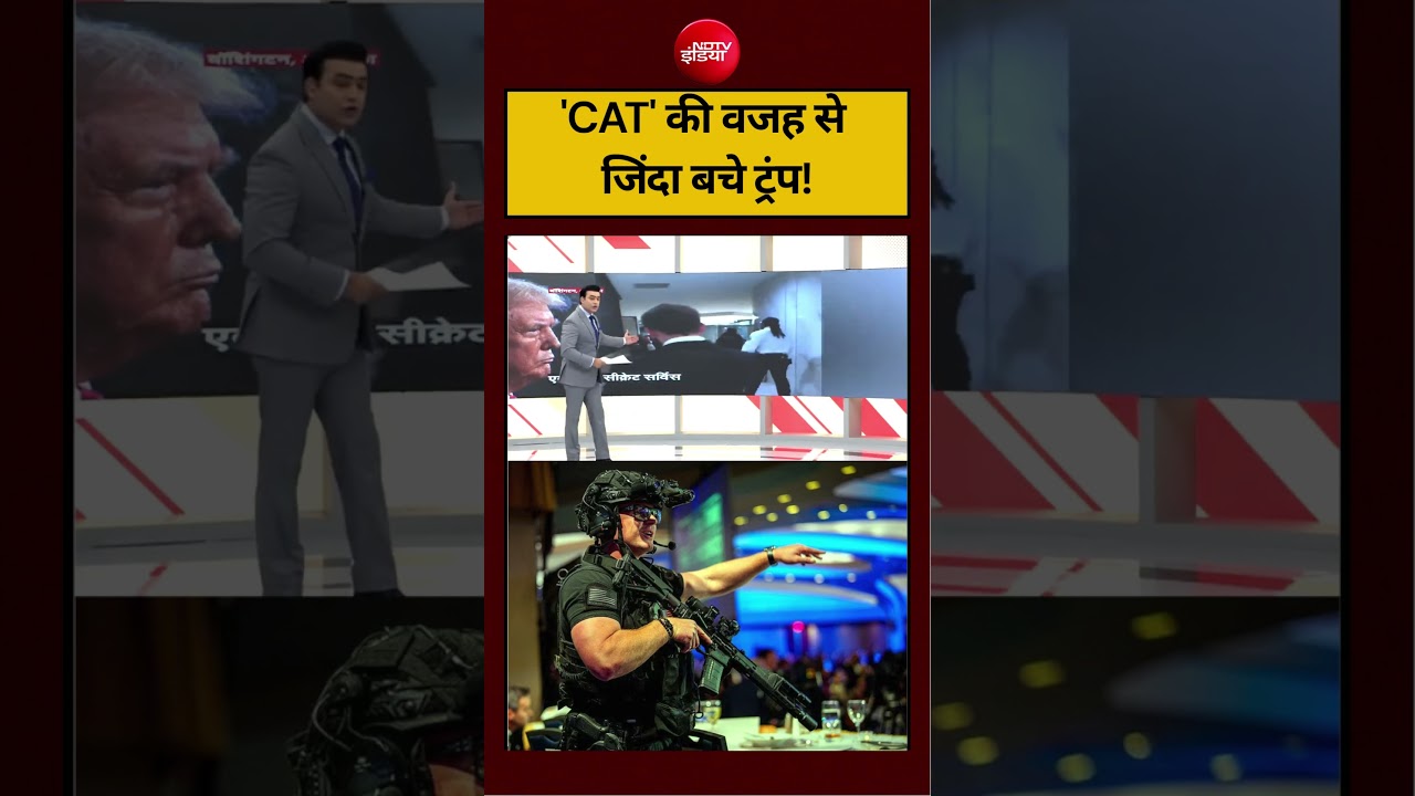 Syed Suhail | Trump Attack News | ‘CAT’ की वजह से जिंदा बचे ट्रंप ?  #viralvideo #shortsvideo #viral