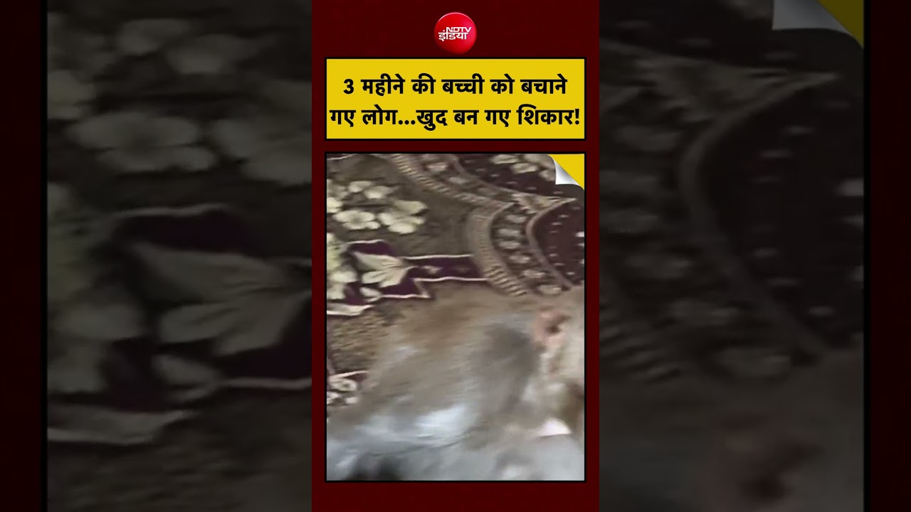 UP News: 3 महीने की बच्ची को बचाने गए लोग…खुद बन गए शिकार! #viral #shorts #muzzafarnagar