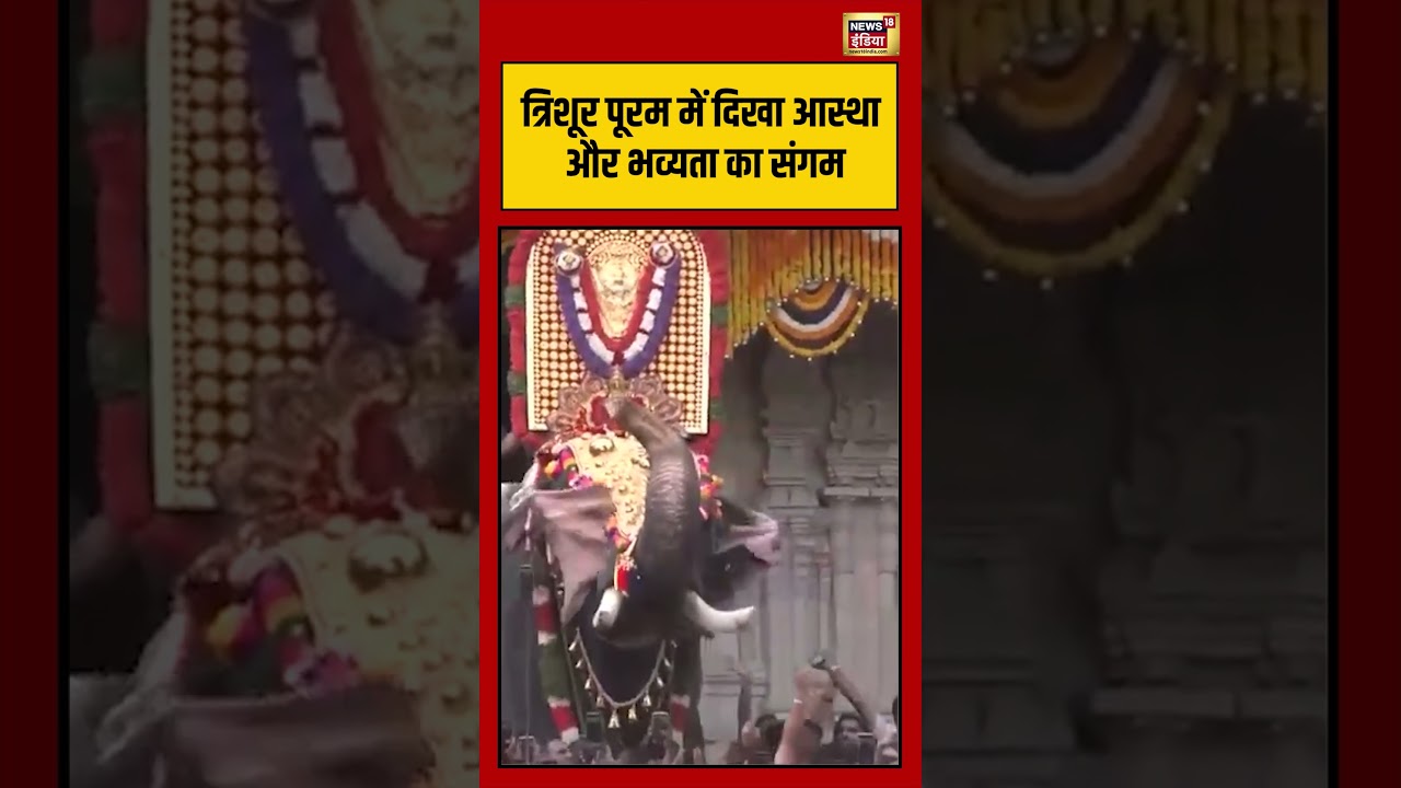 Viral Video: त्रिशूर पूरम में दिखा आस्था और भव्यता का संगम | #viralnews #viralvideo #shorts