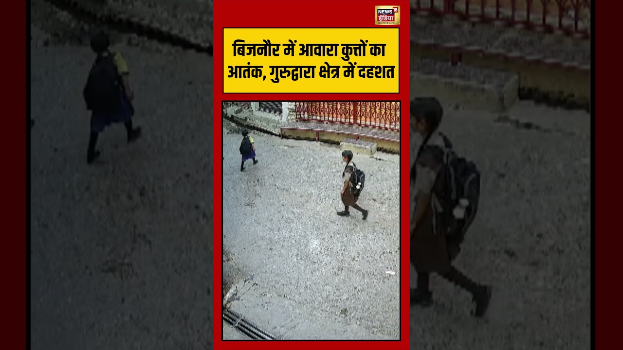 Viral Video | बिजनौर में आवारा कुत्तों का आतंक, गुरुद्वारा क्षेत्र में दहशत | #viralnews #viralvideo