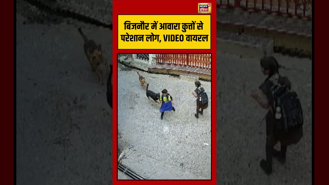 Viral Video | बिजनौर में आवारा कुत्तों से परेशान लोग, VIDEO वायरल | #viralnews | #viralshorts