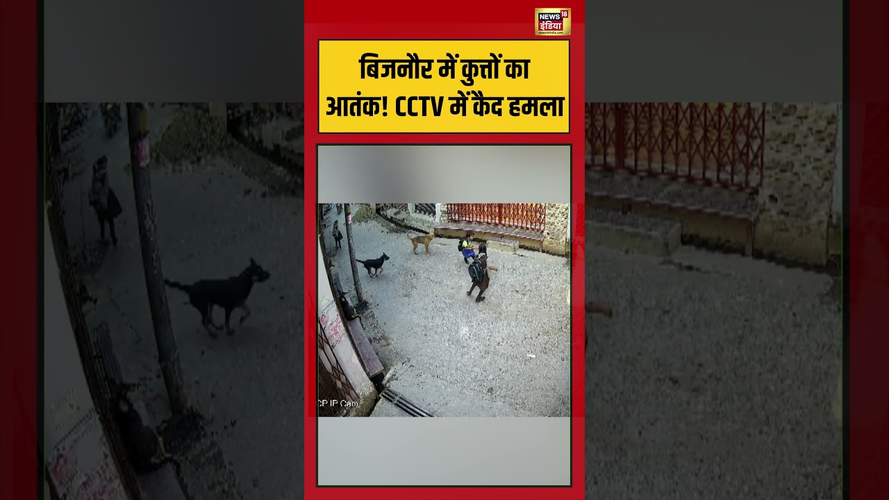 Viral Video | बिजनौर में कुत्तों का आतंक! CCTV में कैद हमला #viralvideo #viralnews #shorts