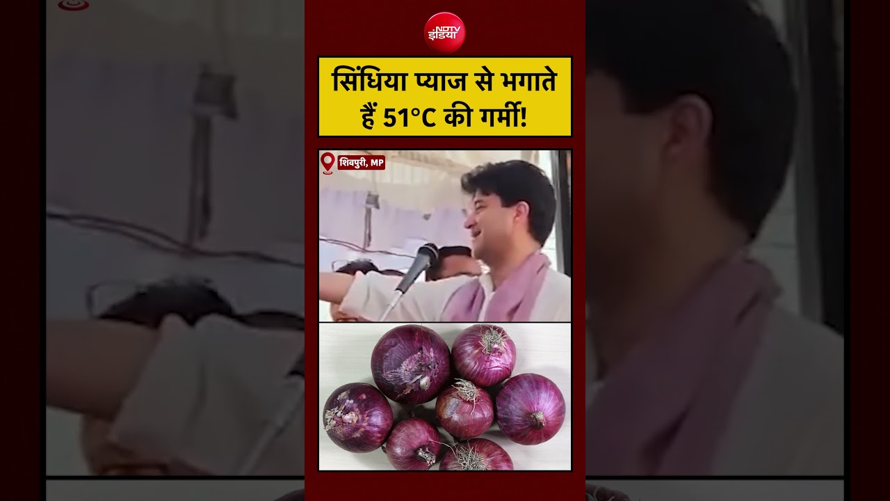 Viral Video | Jyotiraditya Scindia: सिंधिया प्याज से भगाते हैं 51°C की गर्मी! #shorts #madhyapradesh