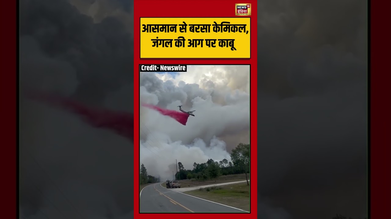 Viral Video | आसमान से बरसा केमिकल, जंगल की आग पर काबू | #viralnews | #viralshorts