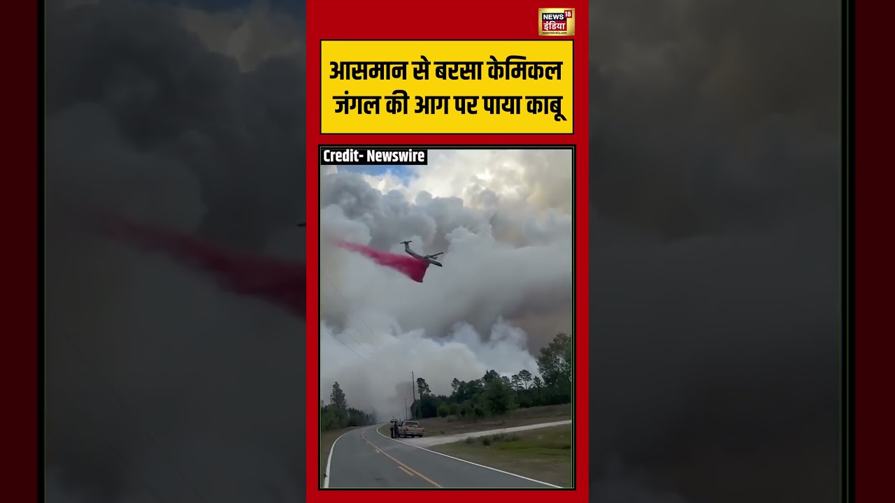 Viral Video | आसमान से बरसा केमिकल जंगल की आग पर पाया काबू | #viralnews | #viralshorts