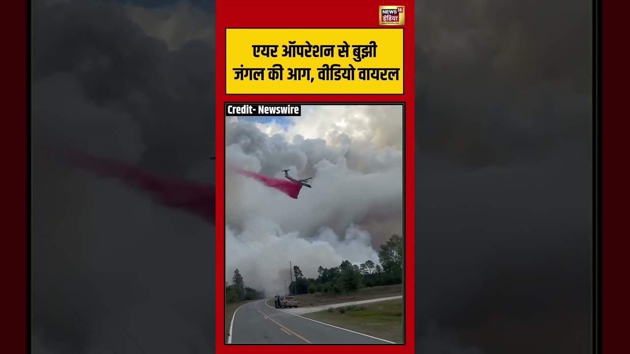 Viral Video | एयर ऑपरेशन से बुझी जंगल की आग, वीडियो वायरल | #viralnews #viralvideo #shorts