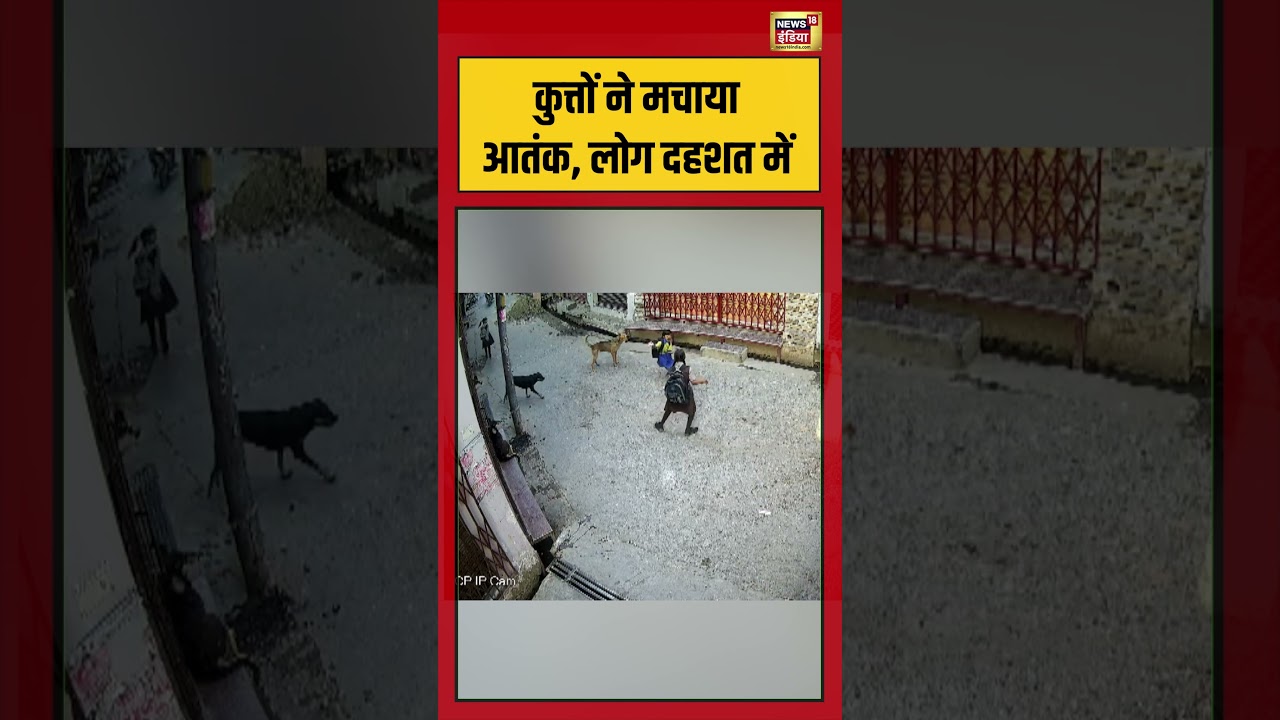 Viral Video: कुत्तों ने मचाया आतंक, लोग दहशत में  | #viralvideo #viralnews #shorts
