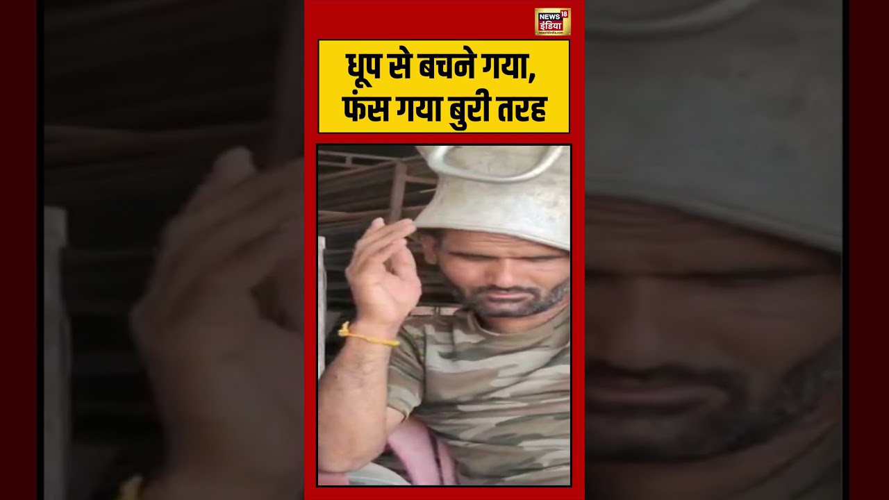 Viral Video | धूप से बचने गया, फंस गया बुरी तरह #shorts #viralvideo #viralvideo #viralnews
