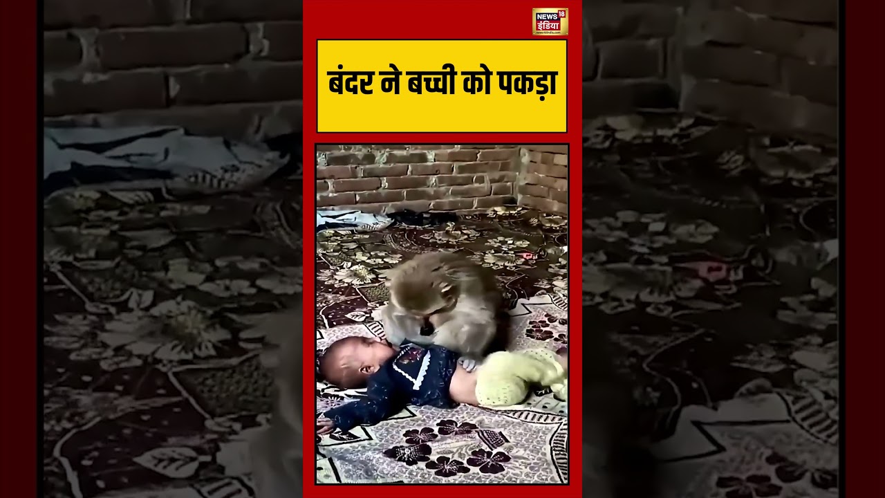 Viral Video | बंदर ने बच्ची को पकड़ा | #viralnews | #viralshorts