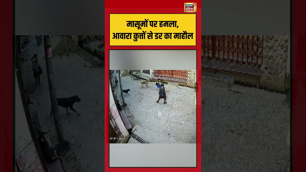 Viral Video: मासूमों पर हमला, आवारा कुत्तों से डर का माहौल | #viralvideo #viralnews #shorts