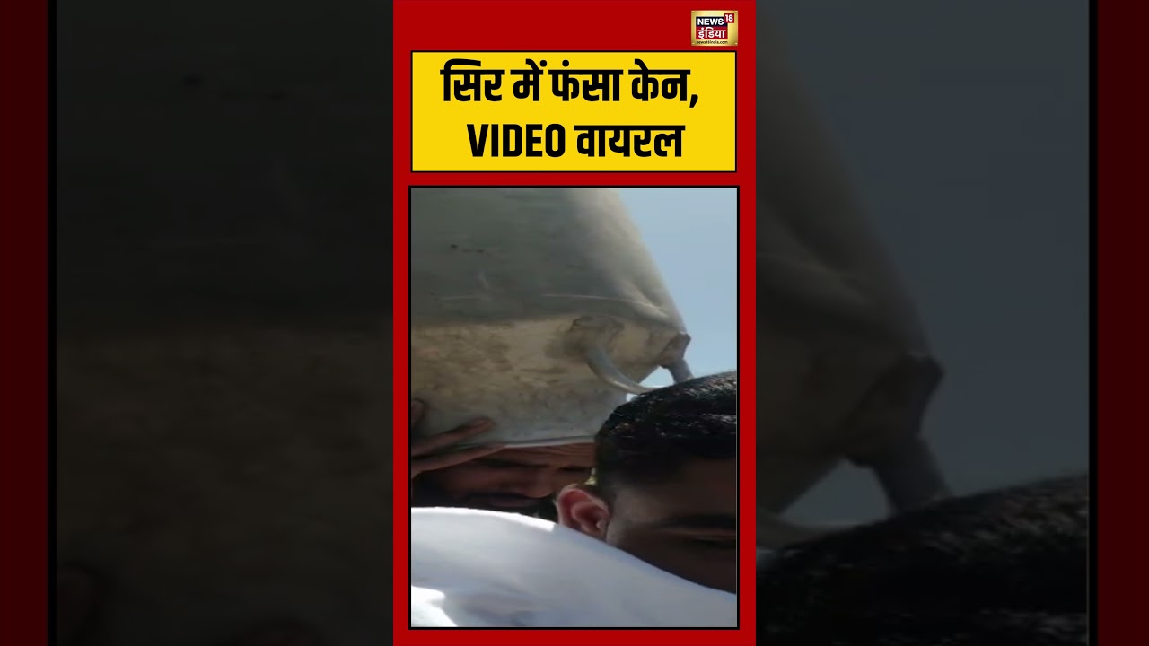 Viral Video: सिर में फंसा केन, VIDEO वायरल | #viral #viralvideo #shorts