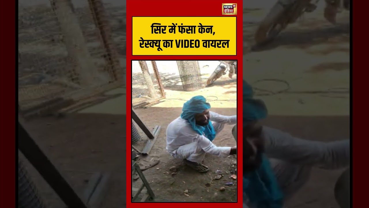 Viral Video | सिर में फंसा केन, रेस्क्यू का VIDEO वायरल | #shorts #viralvideo #viralnews