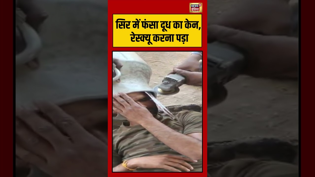 Viral Video | सिर में फंसा दूध का केन, रेस्क्यू करना पड़ा #viralvideo #viralnews #shorts