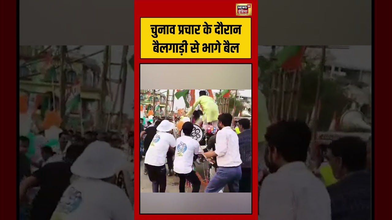 West Bengal Election: चुनाव प्रचार के दौरान बैलगाड़ी से भागे बैल  | #westbengalelection #viralvideo
