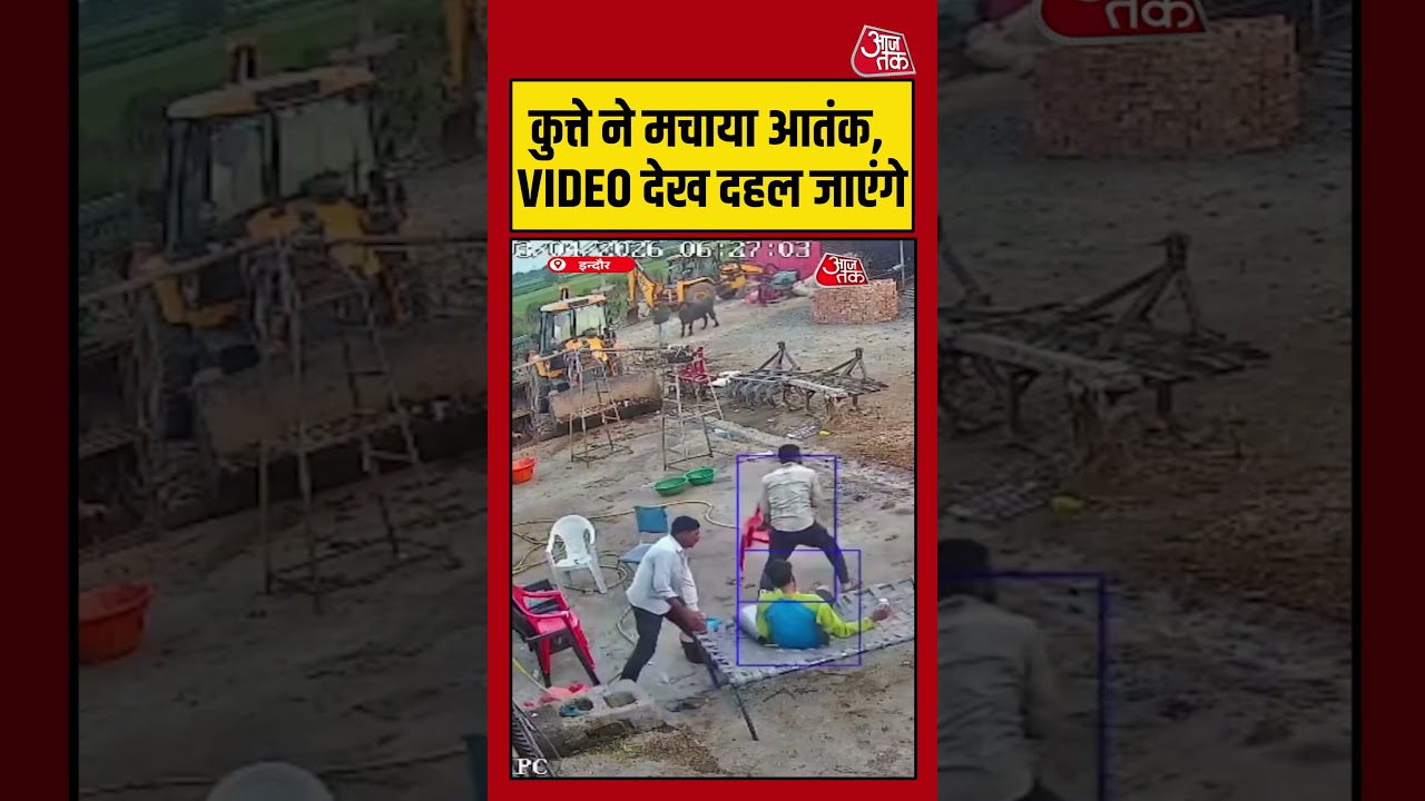 कुत्ते ने मचाया आतंक, VIDEO देख दहल जाएंगे #dog #indorenews #viralvideo #shortsvideo