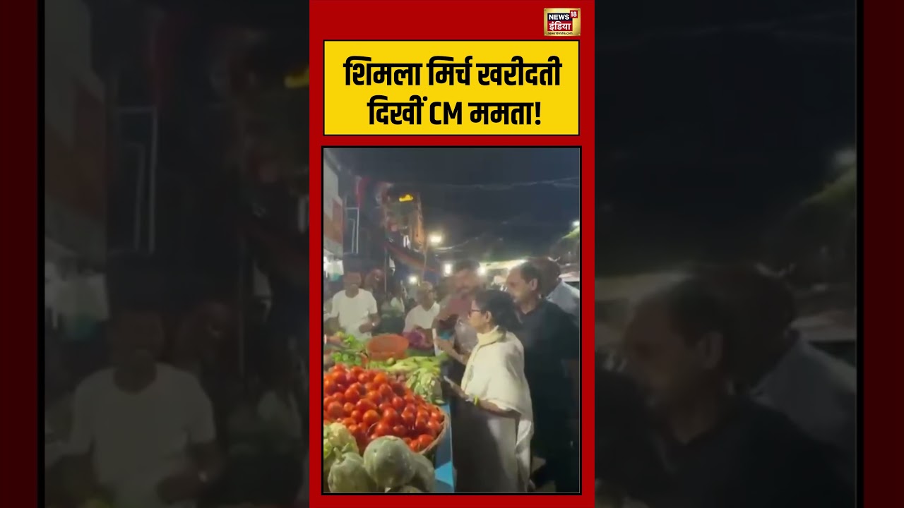 शिमला मिर्च खरीदती दिखीं CM ममता!  |#viralnews #viralvideo #shortsfeed #shorts