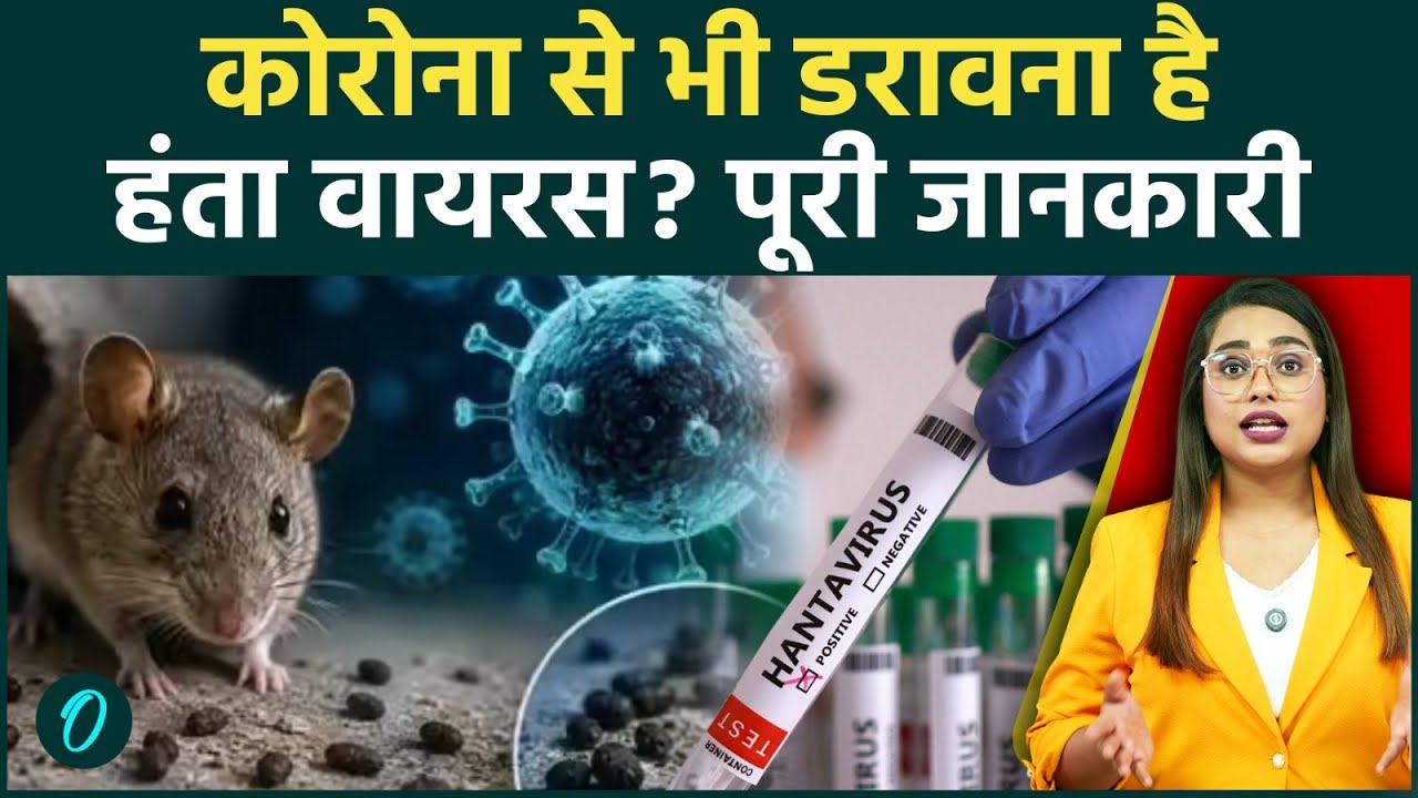 Hanta Virus Alert स्लो डेथ रहस्यमयी बुखार किडनी फेल फेफड़ों में पानी कितना खतरनाक है हंता वायरस 211058 c16b0