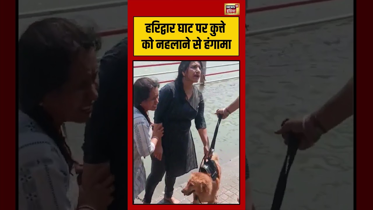 Haridwar घाट पर कुत्ते को नहलाने से हंगामा shorts viralvideo viralnews uttrakhand 193968 5a6b0