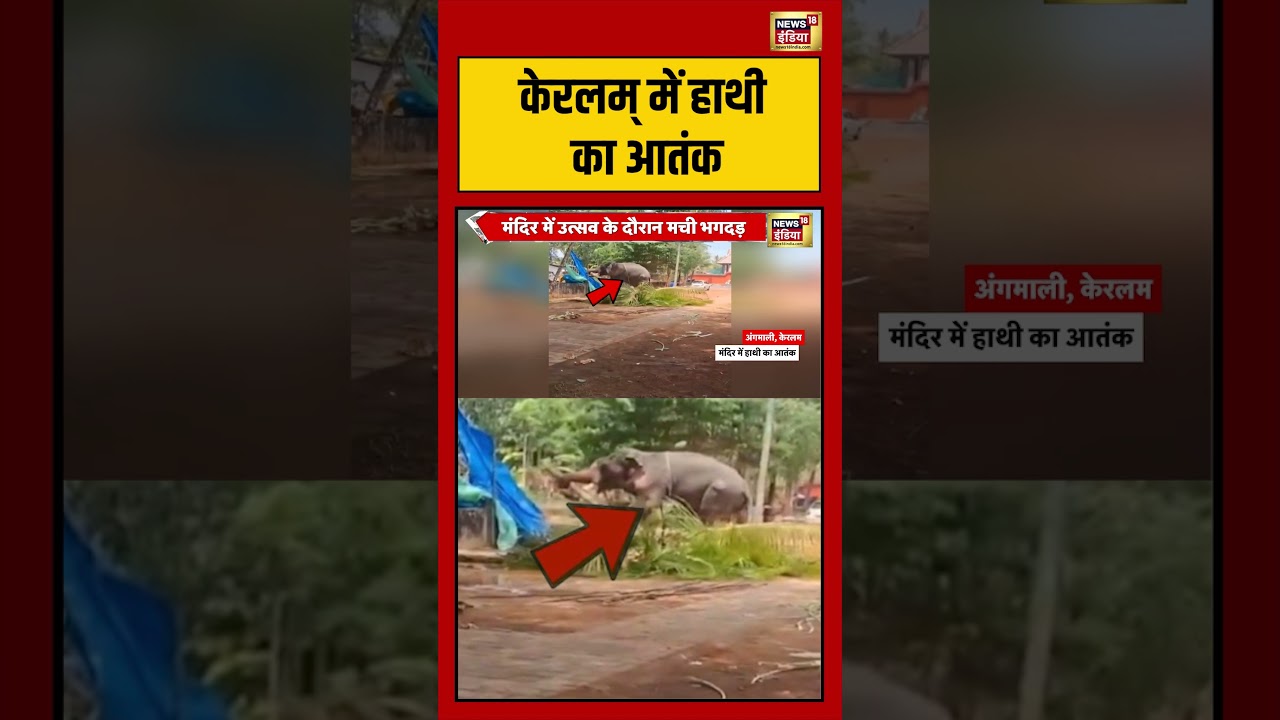 Keralam केरलम् में हाथी का आतंक keralam elephent viralshorts viralvideo 194345 288fb