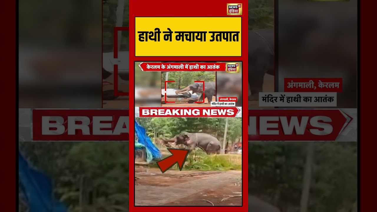 Keralam हाथी ने मचाया उतपात keralam elephent viralshorts viralvideo 194357 b9fb1