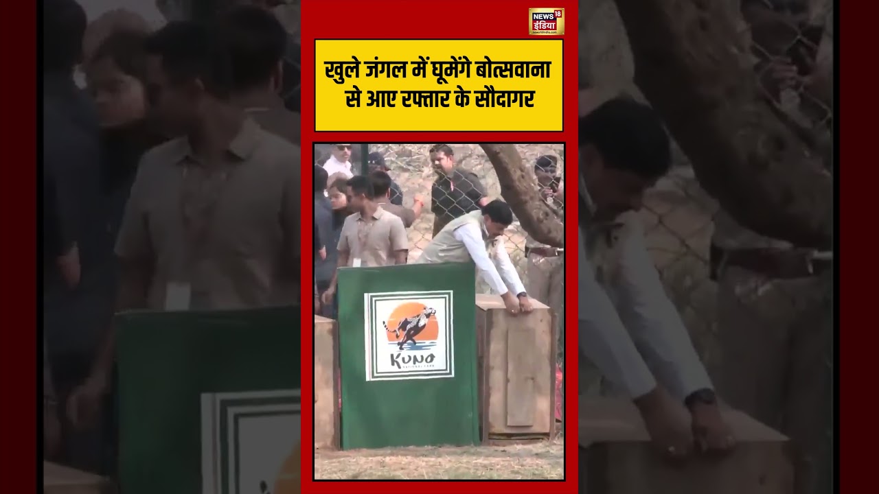 Mohan Yadav खुले जंगल में घूमेंगे बोत्सवाना से आए रफ्तार के सौदागर shorts viralvideo viralnews 209114 9c99c