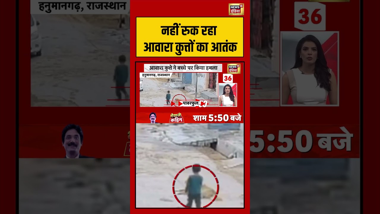 Rajasnthan News नहीं रुक रहा आवारा कुत्तों का आतंक breakingnews viralnews shorts 192360 e21b9