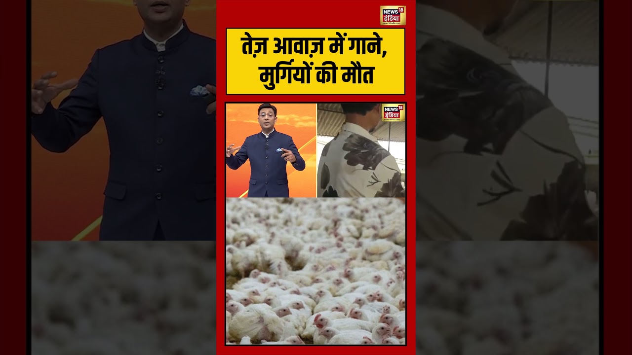 Sau Baat Ki Ek Baat तेज़ आवाज़ में गाने मुर्गियों की मौत sultanpur uttarpradesh kishoreajwani 193690 2ee01