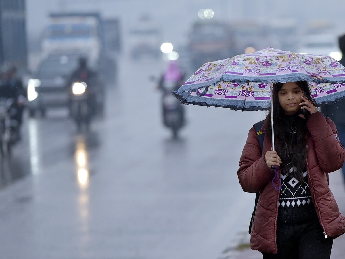UP Rain 1769562503059 1769562503220 1778633867859