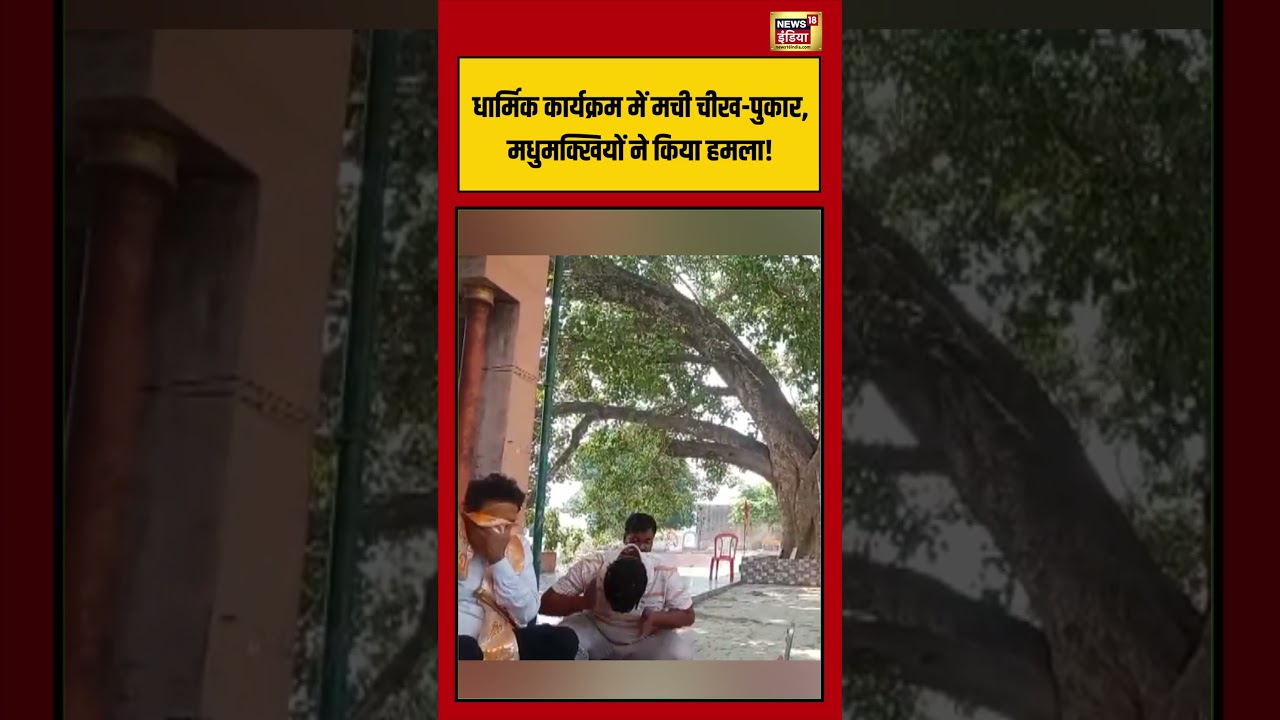 Varansi Viral Video धार्मिक कार्यक्रम में मची चीख पुकार मधुमक्खियों ने किया हमला short 213831 e5293