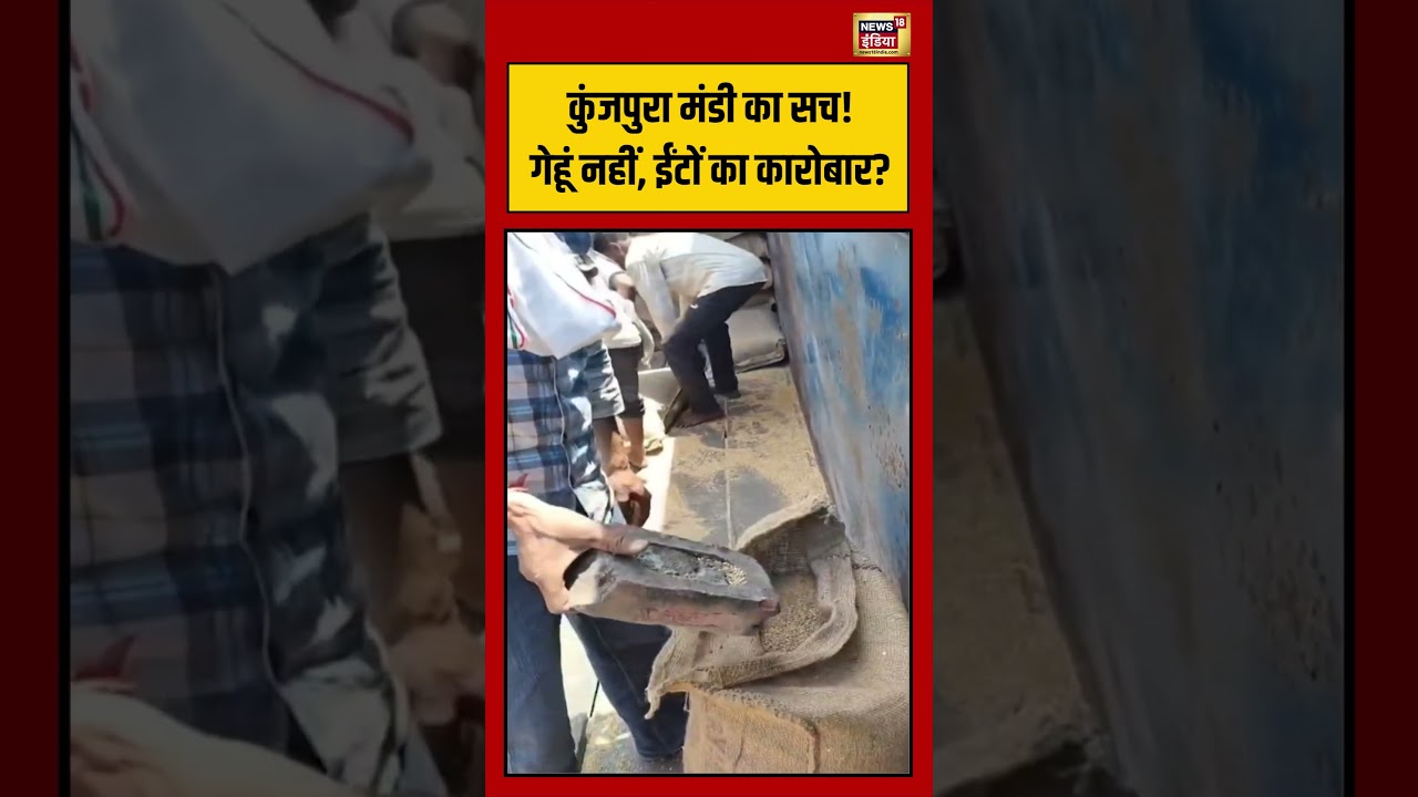 Viral Video कुंजपुरा मंडी का सच गेहूं नहीं ईंटों का कारोबार Fraud Alert viralvideo short 194411 4be41