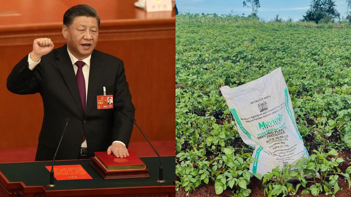 china fertiliser 1778569966