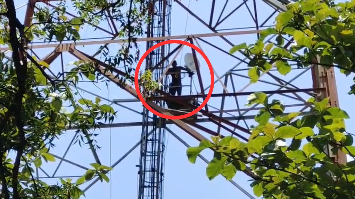 odisha 1778404718